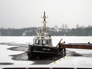 Sheri Lynn S (SLS) Tugboat